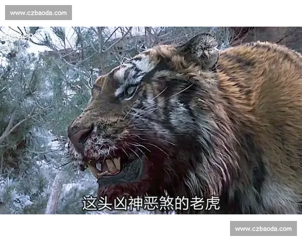 宿命对决:两大宿敌跨越岁月展开生死较量
